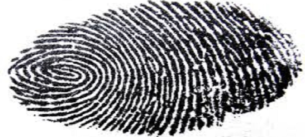 finger print