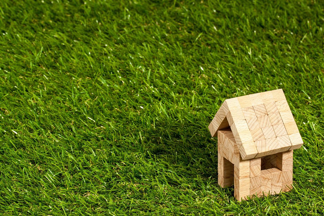Solid Reasons to Keep Your Lawn Green and Healthy